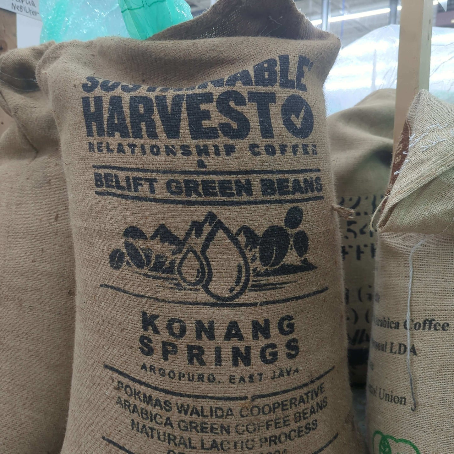 Java Ijen Volcano Lactic Acid