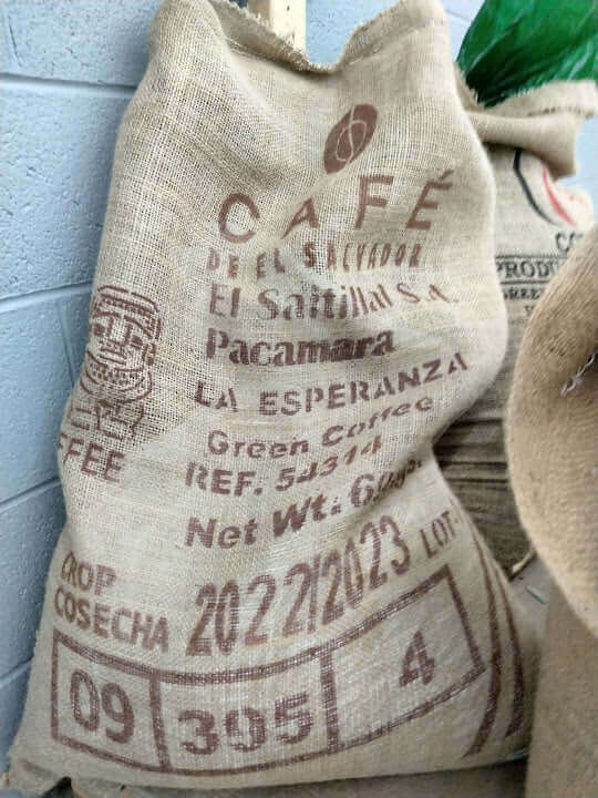 El Salvador La Esperanza Pacamara