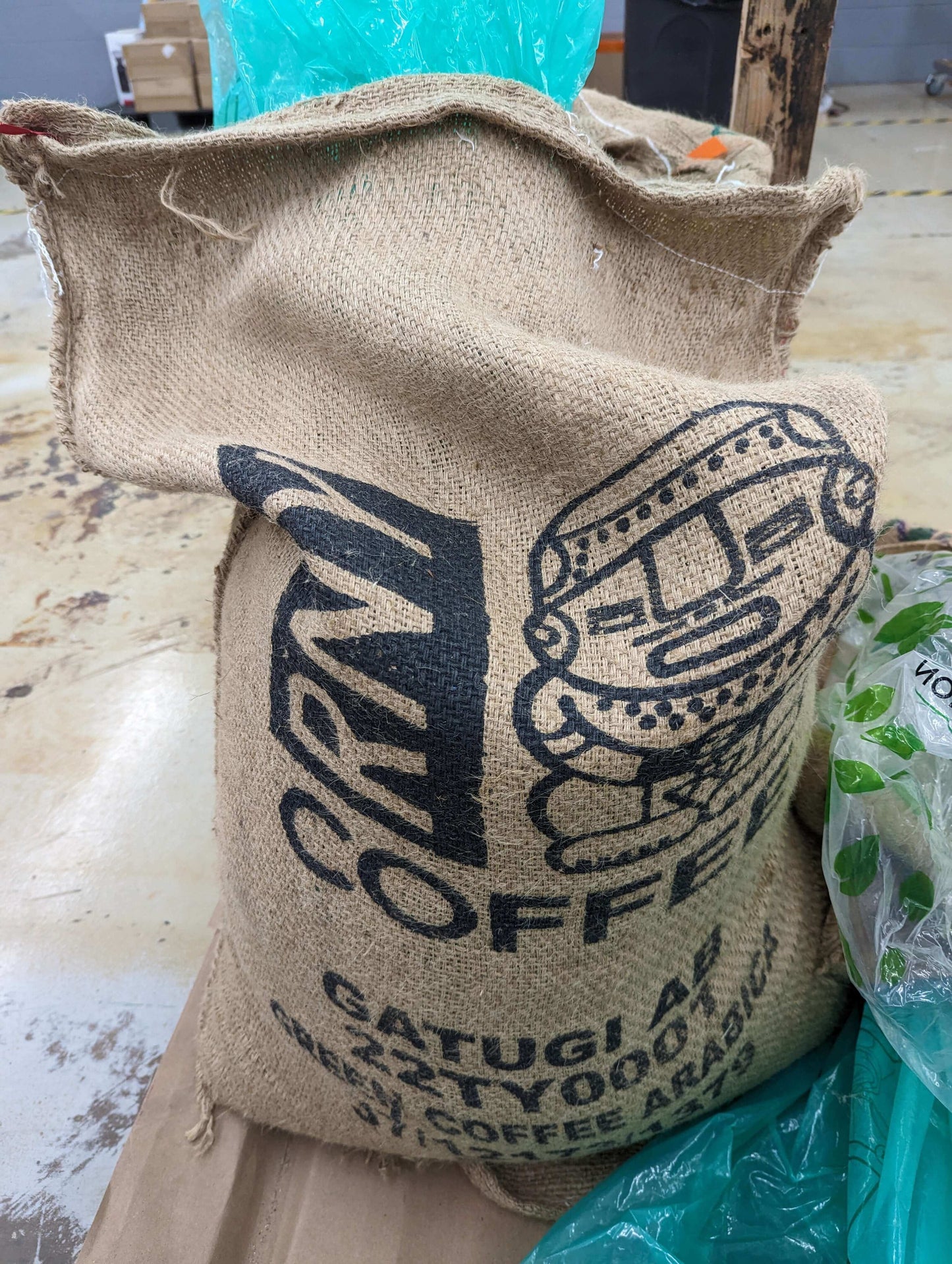 Kenya Gatugi AB