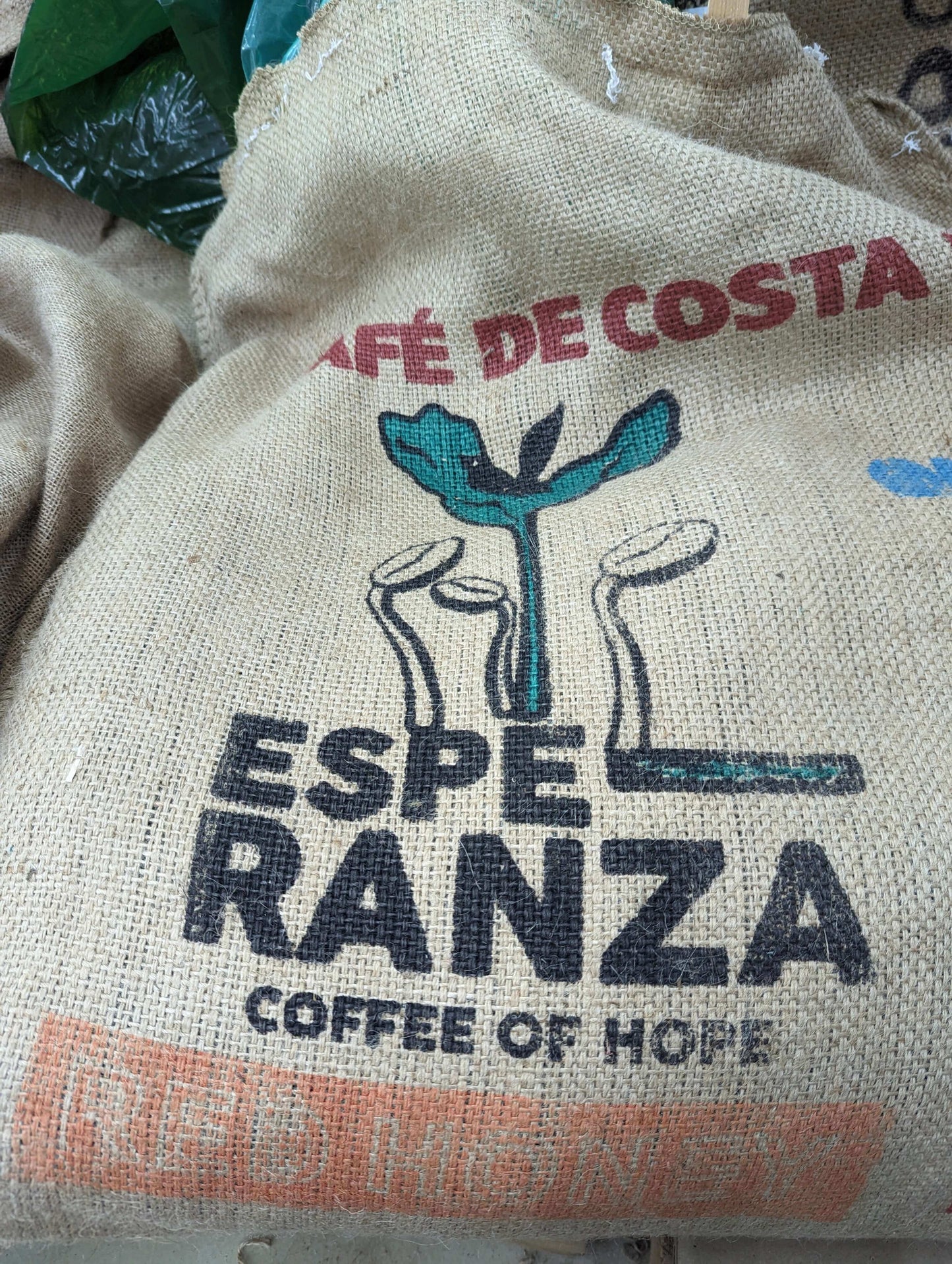 Costa Rica Aquaiares Red Honey