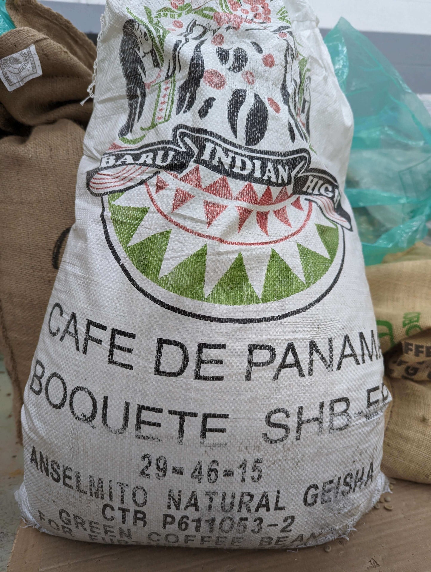 Panama Boquete Natural Geisha