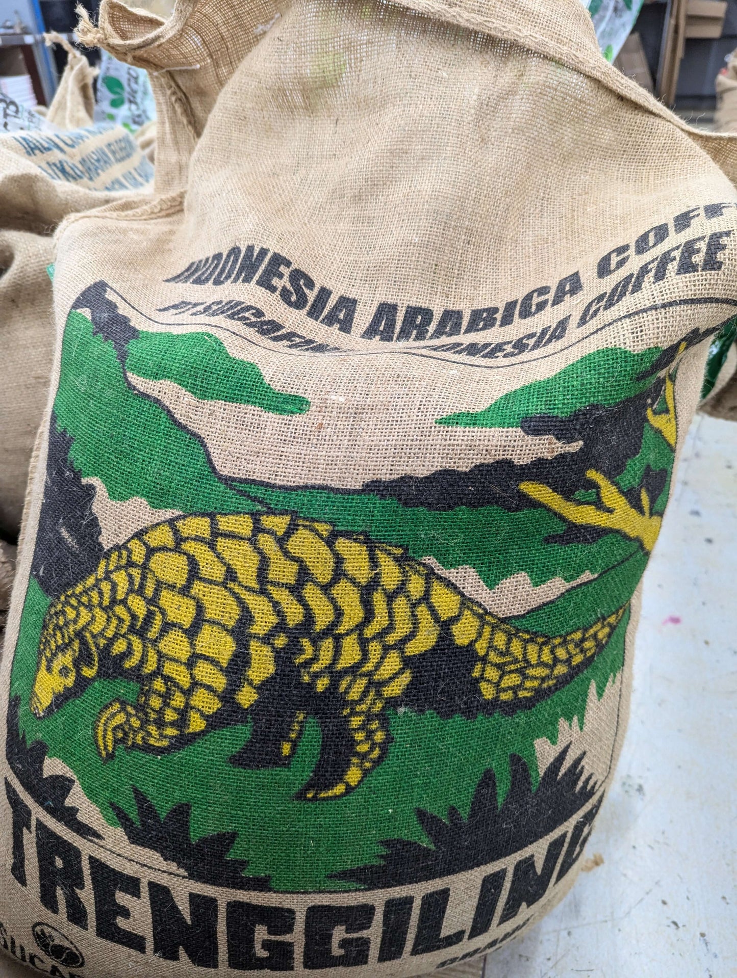 Sumatra Lintong