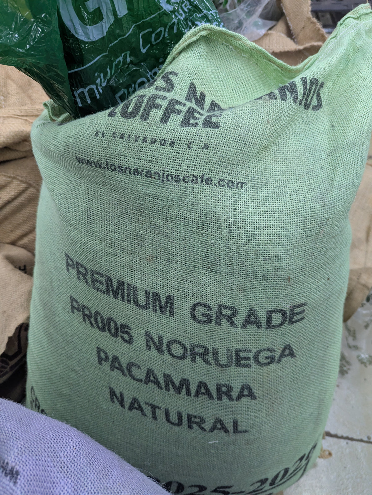 El Salvador Pacamara Natural