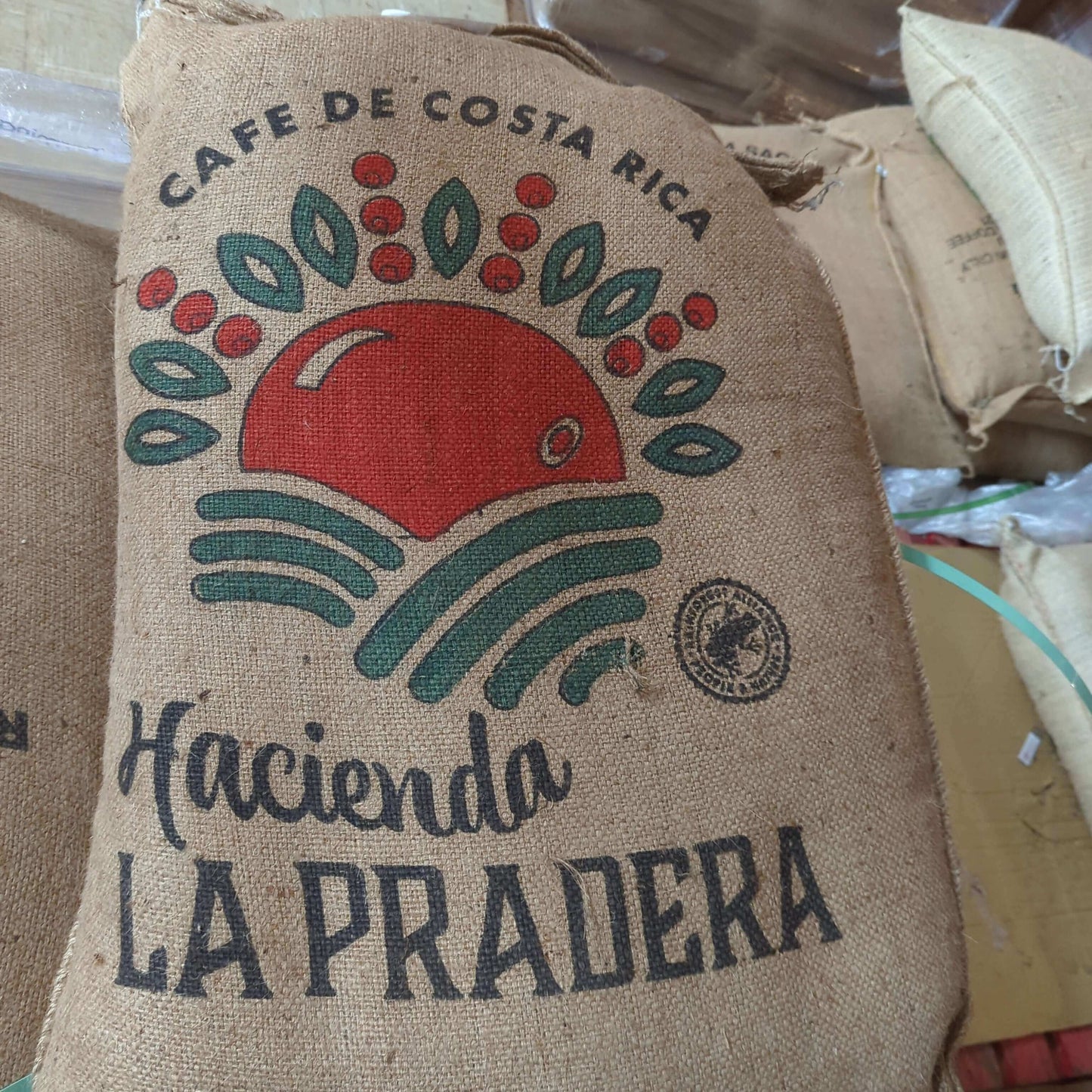 Costa Rica La Pradera Washed
