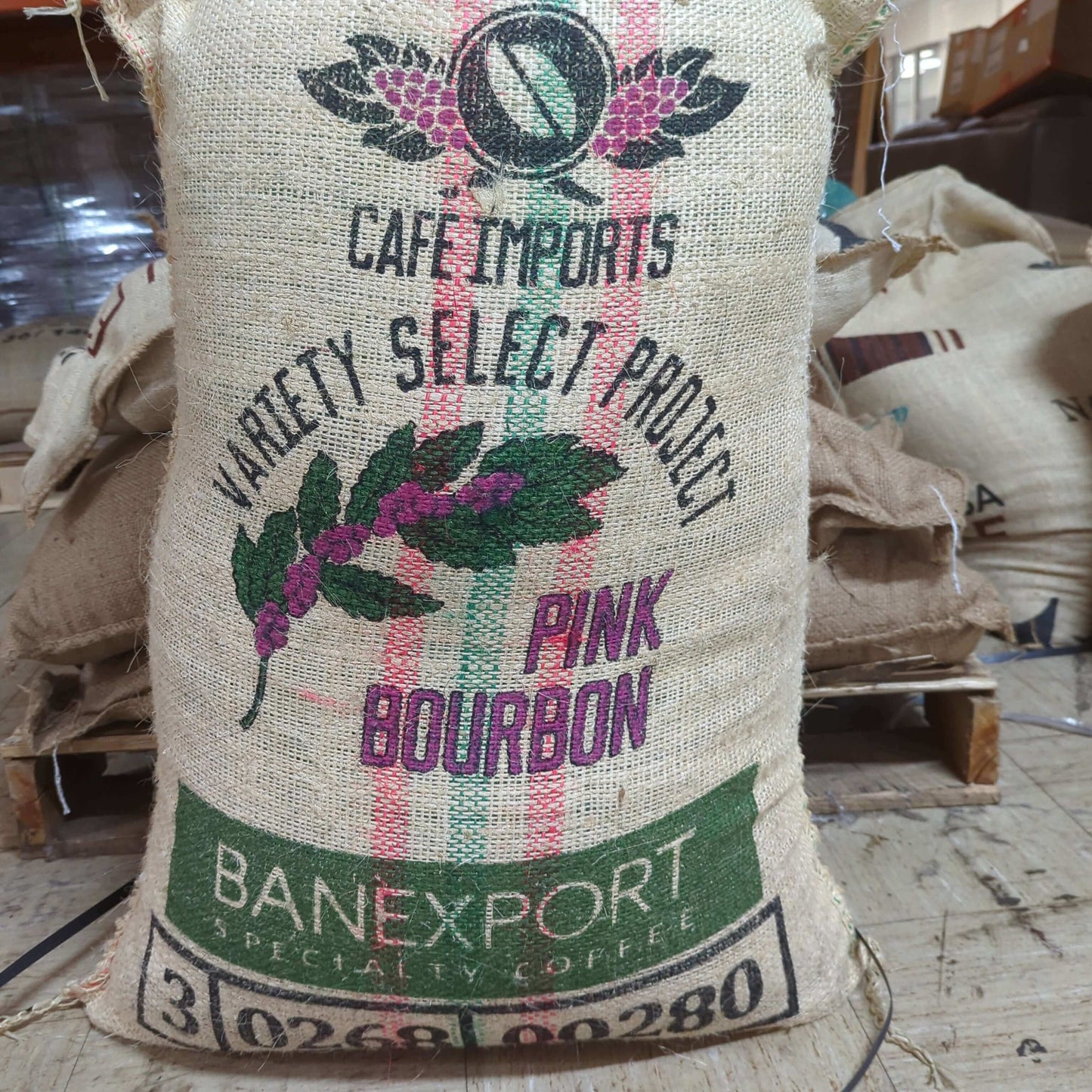 Colombia Cauca Pink Bourbon Natural