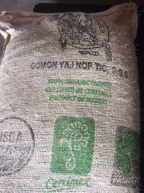 Mexico Chiapas Comon Yaj Noptic