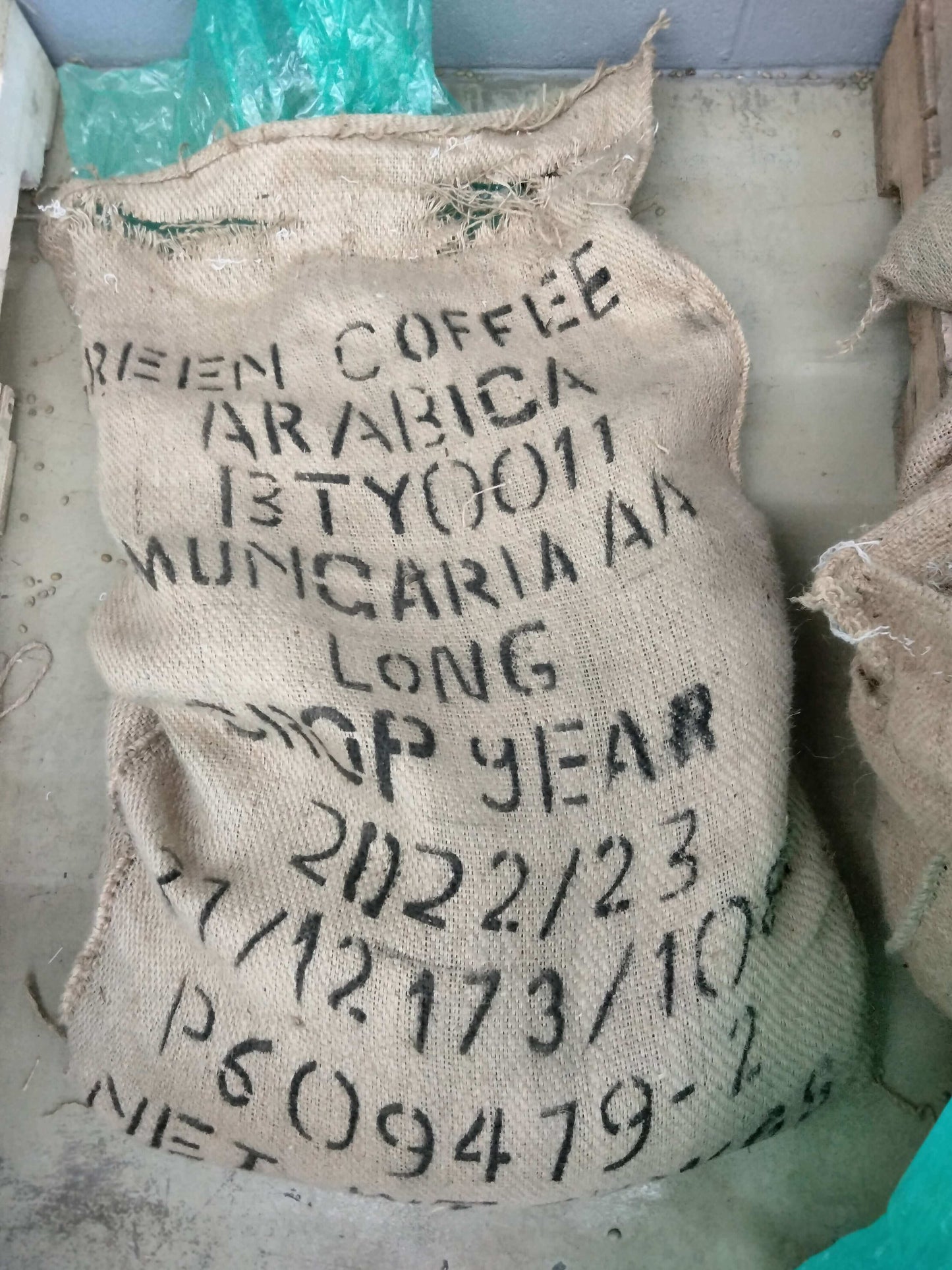 Kenya Mungaria AA
