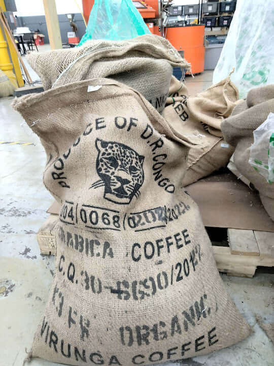 Congo Washed Kivu Lake