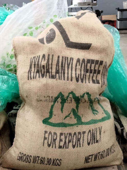 Uganda Bugisu Mt. Elgon