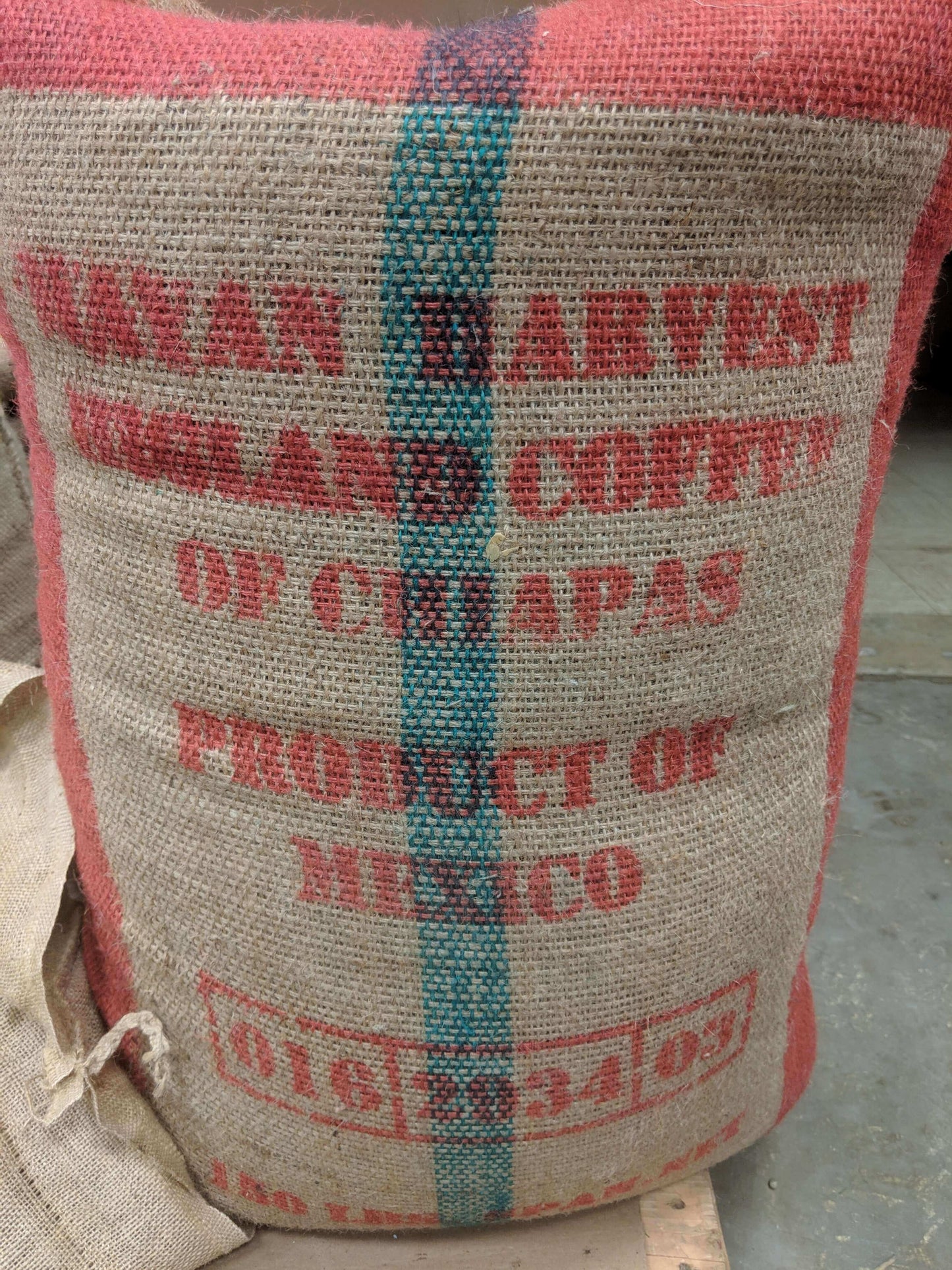 Mexico Chiapas Rosalba Tovia