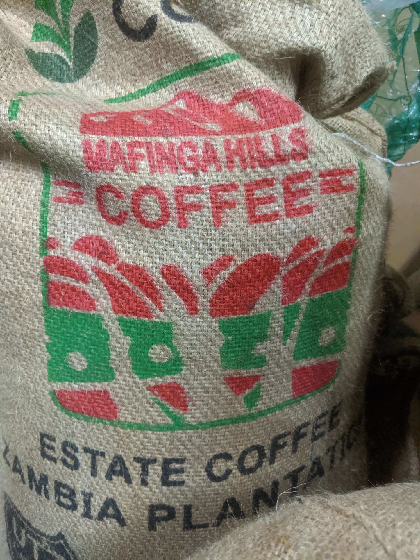 Zambia Mafinga Hills