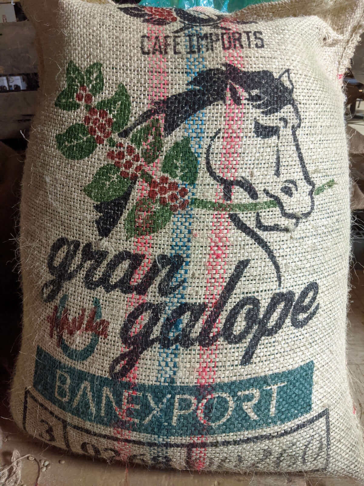 Colombia Huila Gran Galope