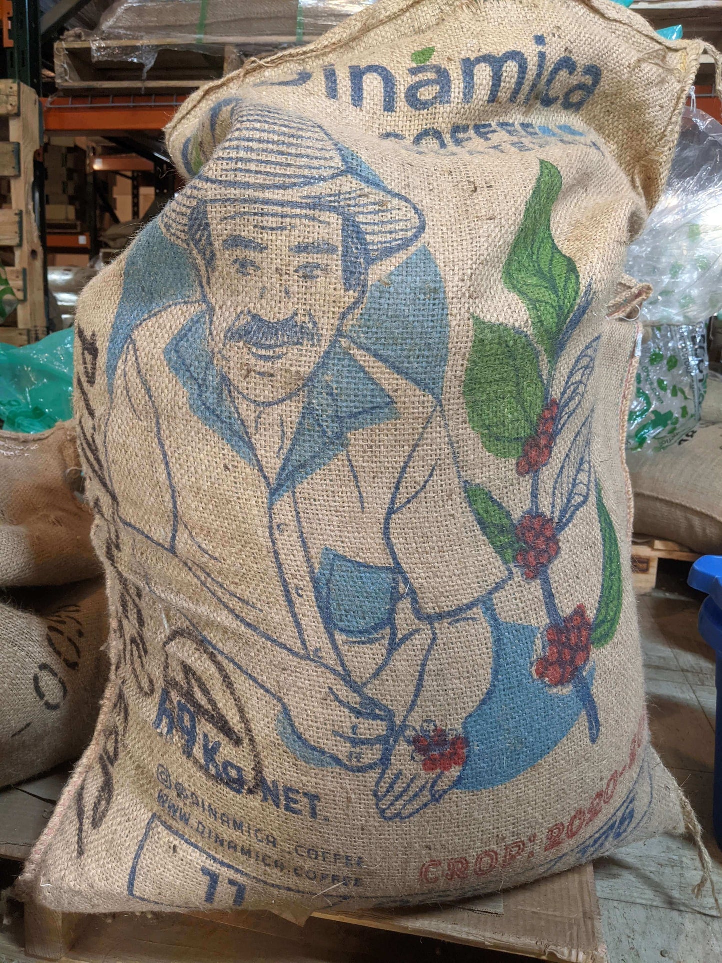Guatemala Beatriz
