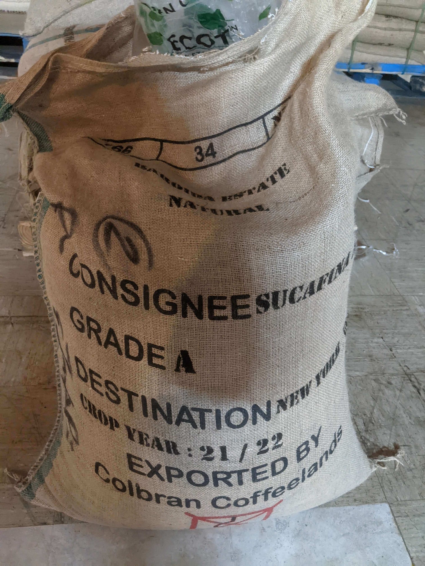 Papua New Guinea Baroida Natural