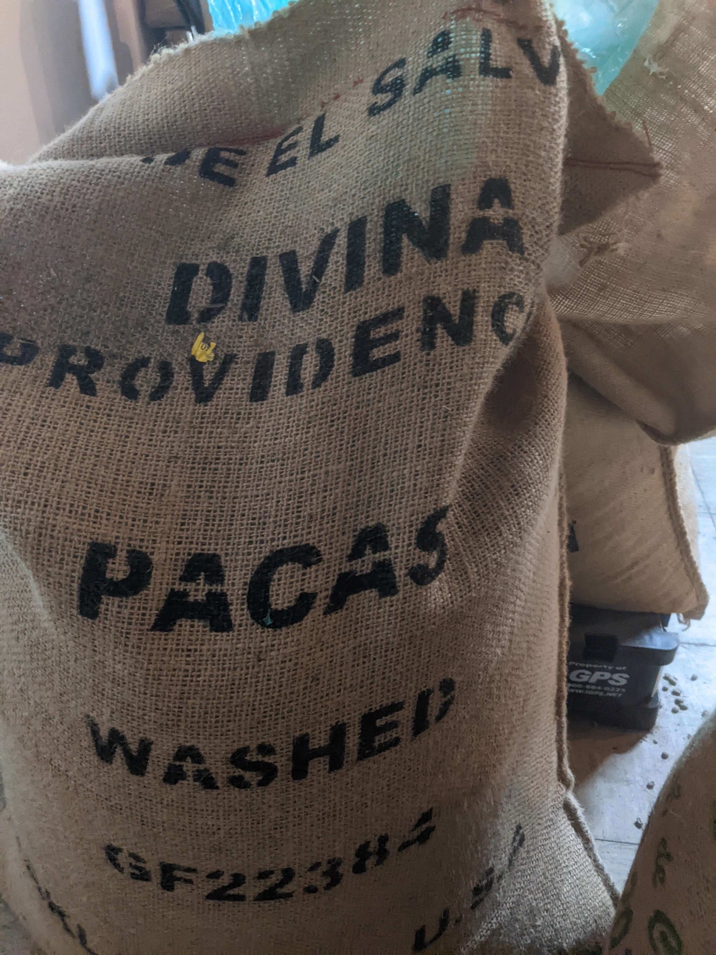 El Salvador Finca Divina