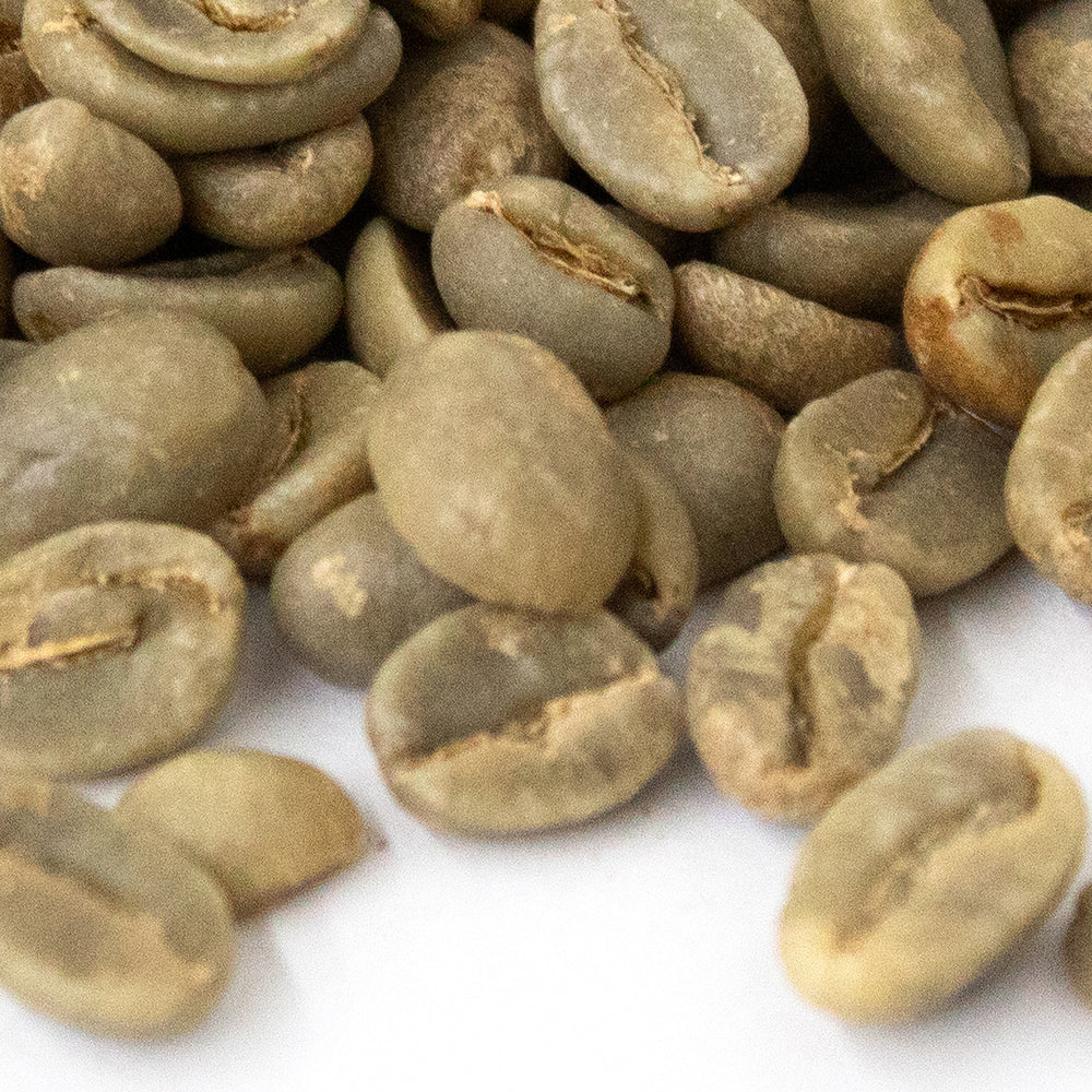 Breakfast Blend Coffee - Rich Flavor & Full Body