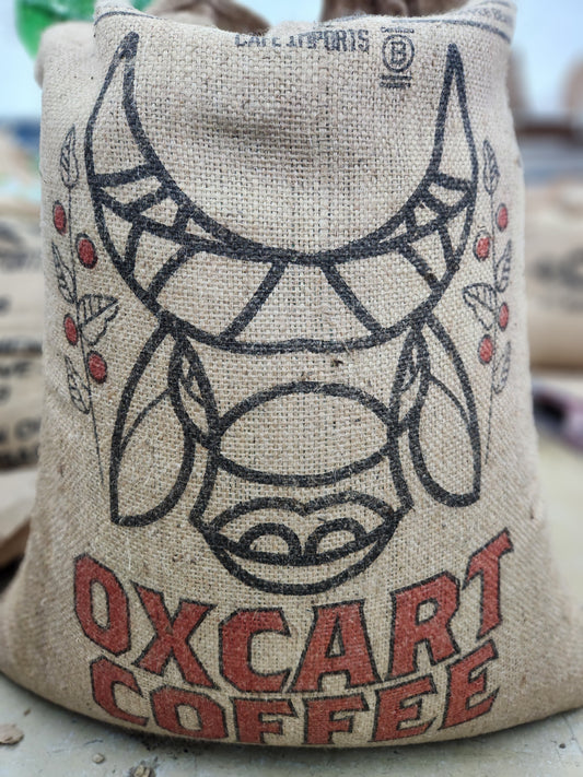 Costa Rica Finca Higerones Honey