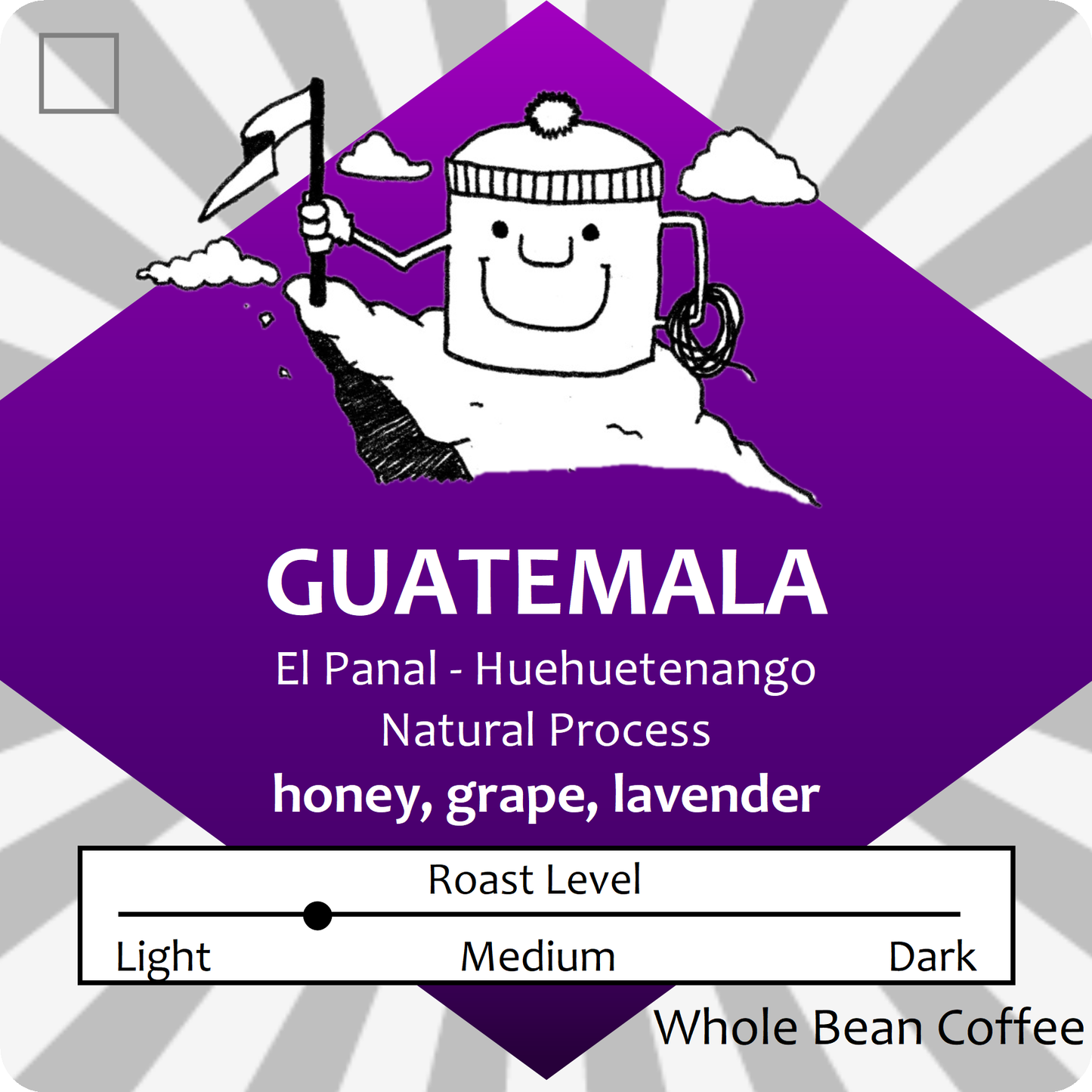 Guatemala Natural El Panal