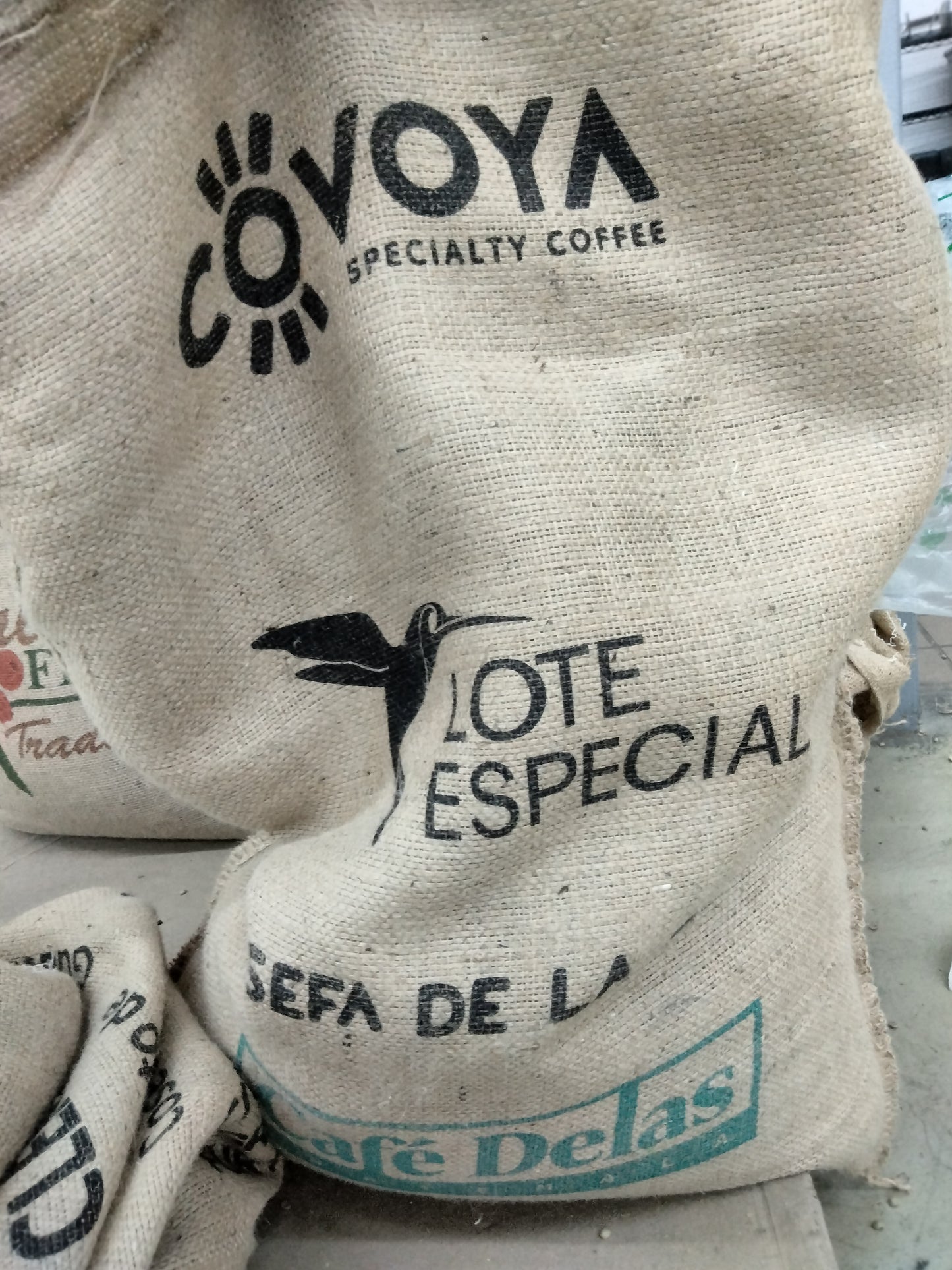 Guatemala Baja Verapaz Delas