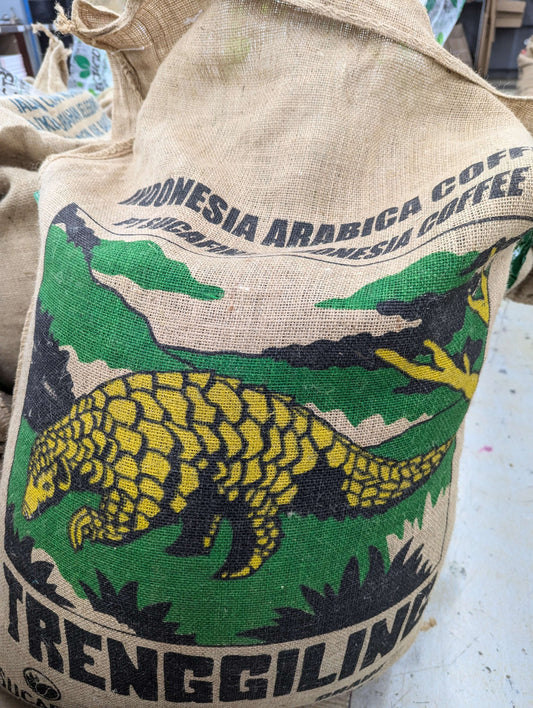 Sumatra Lintong
