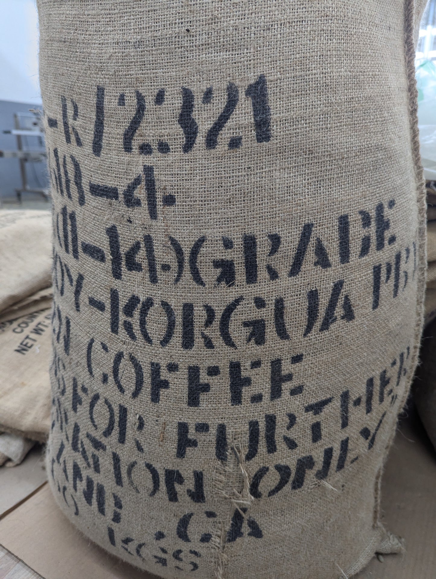 Papua New Guinea Korgua Peaberry