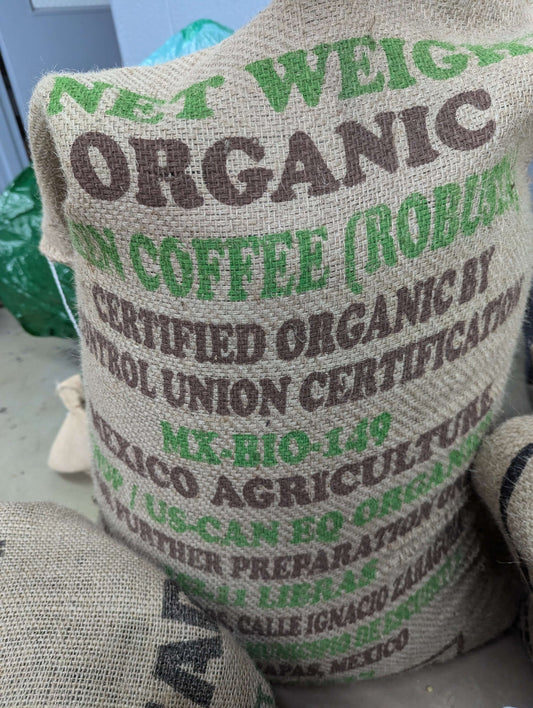 Mexico Robusta