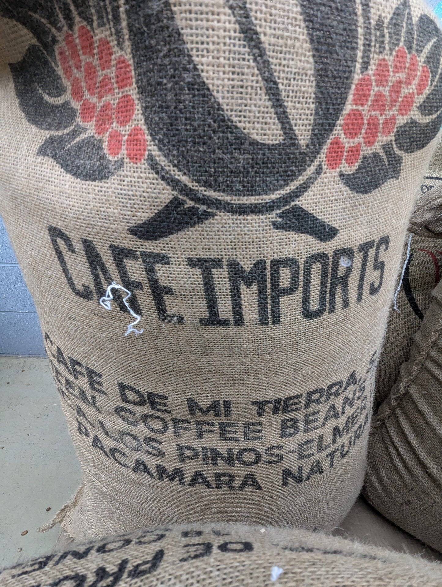 Guatemala Natural Pacamara