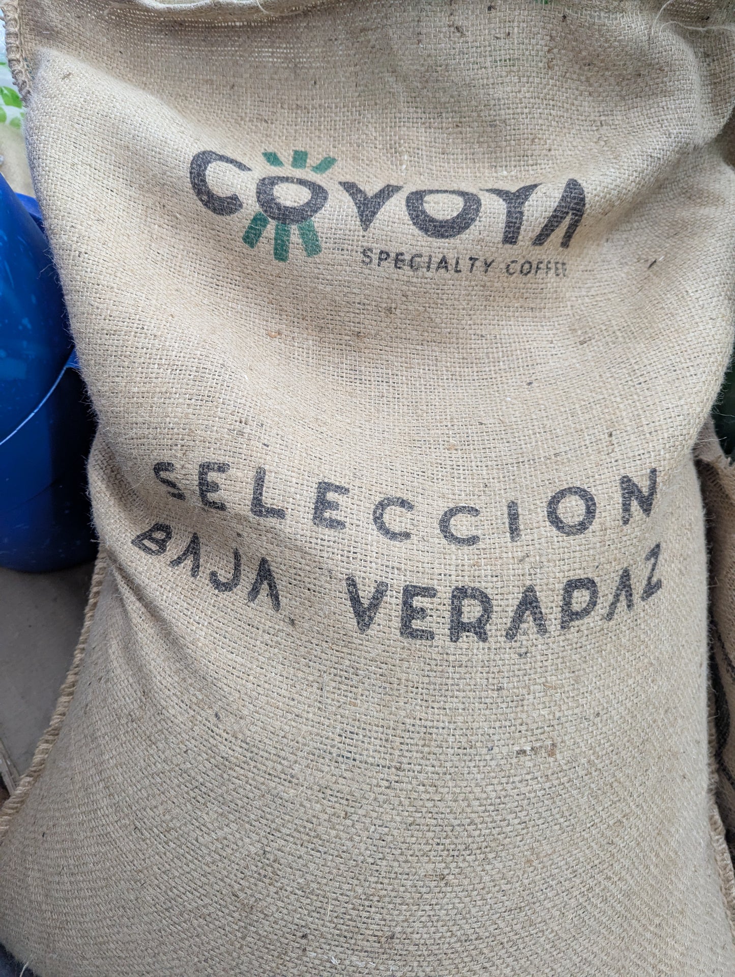 Guatemala Huehuetenango Baja Verapaz