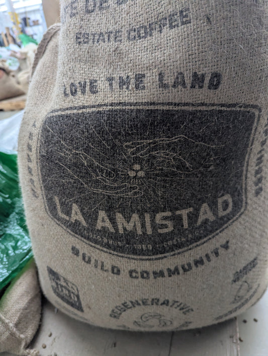 Costa Rica La Amistad