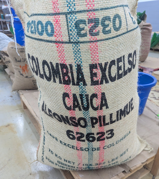 Colombia Cauca Alfonso Pillimue