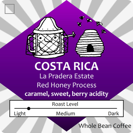 Costa Rica Red Honey Process