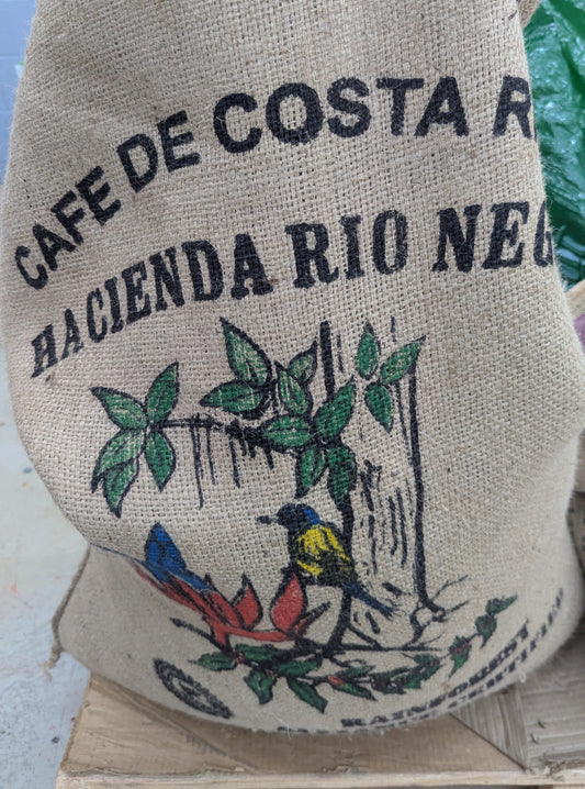 Costa Rica Rio Negro Natural