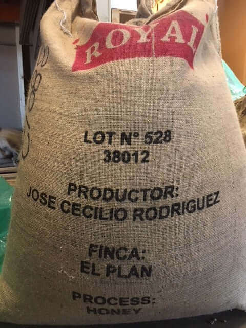 Honduras COMSA Honey